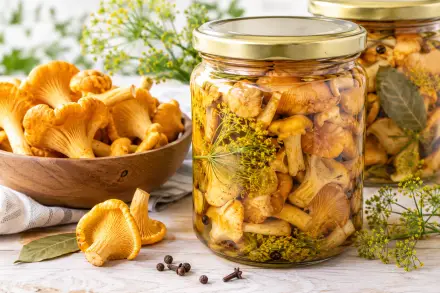 Фото Маринованные лисички с укропом на зиму