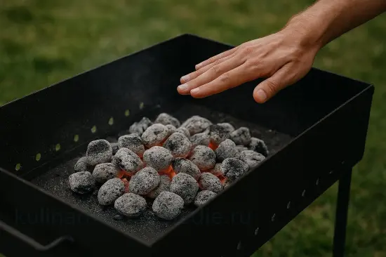Шашлык из свинины в медово-горчичном маринаде - шаг 4. Подготовка углей